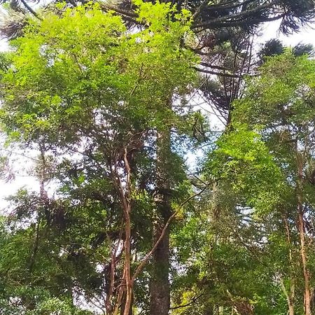 Chacara Rancho Paraiso Piraquara Екстериор снимка