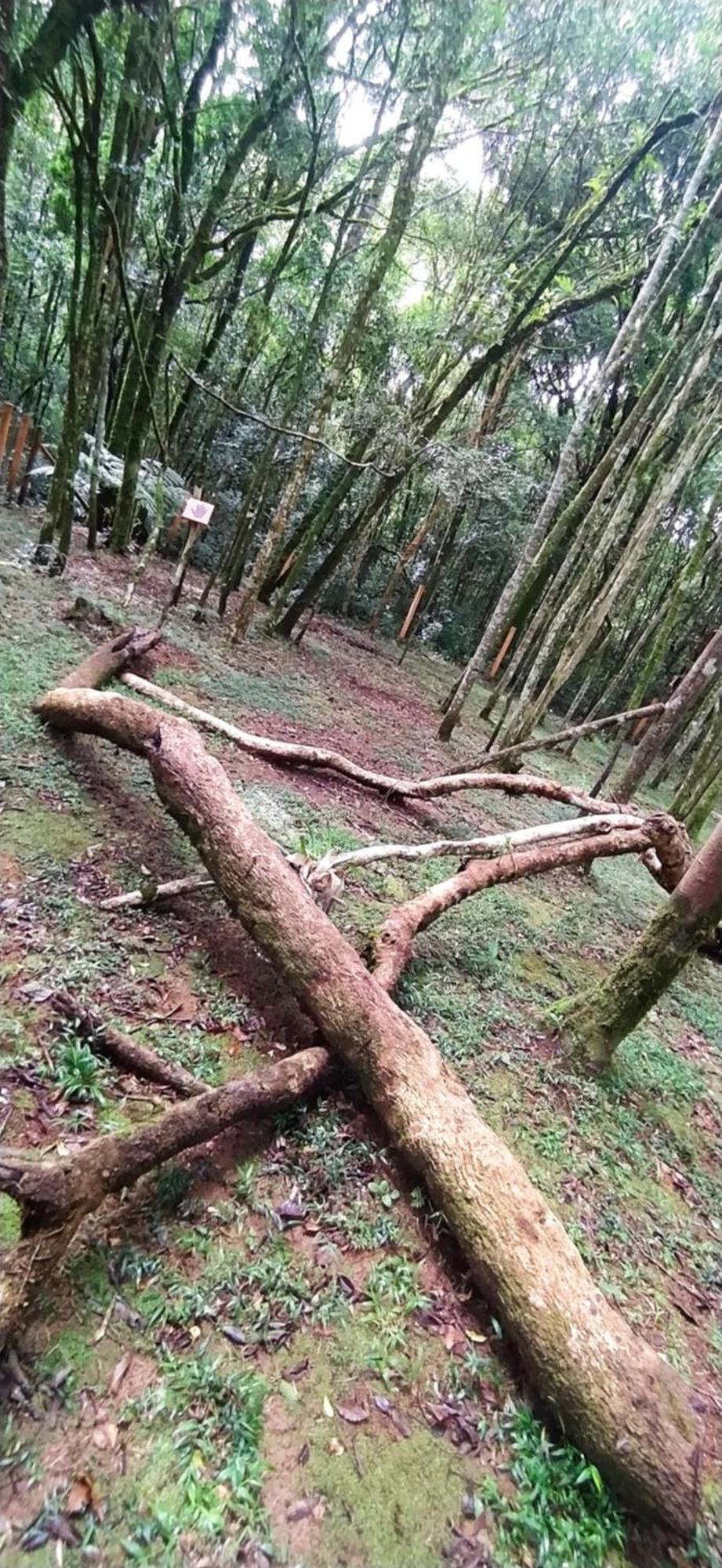 Chacara Rancho Paraiso Piraquara Екстериор снимка