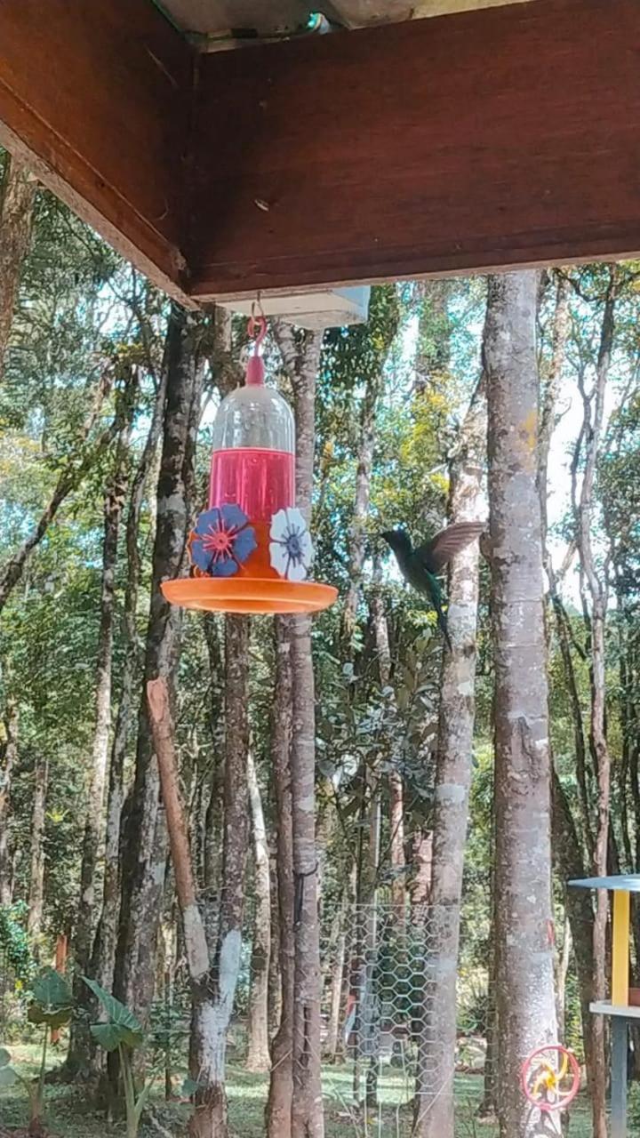 Chacara Rancho Paraiso Piraquara Екстериор снимка